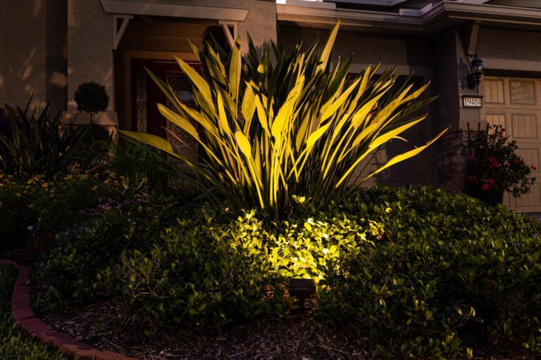 outdoor led lighting